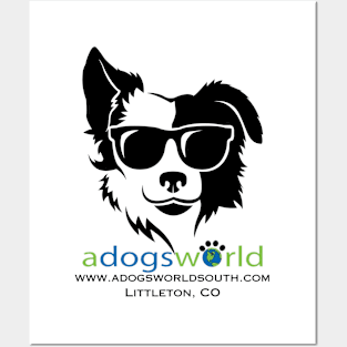 Cool Dog in Sunglasses - Dog Breeds - A Dog's World - Border Collie Posters and Art